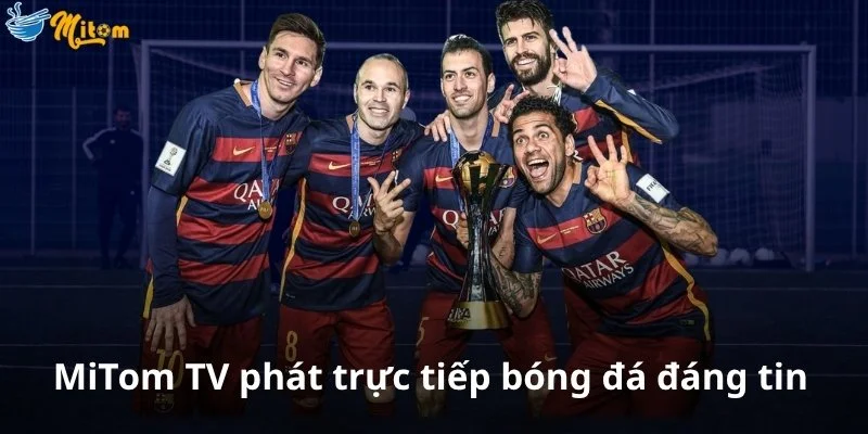 MiTomTV phát trực tiếp bóng đá đáng tin cậy