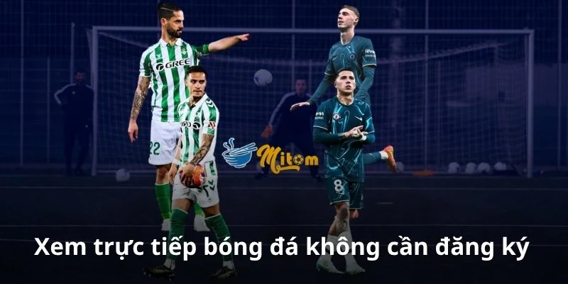 Xem trực tiếp bóng đá tại MiTom TV không cần đăng ký